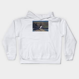 Razorbill on a cliff Kids Hoodie